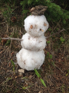 Hankey the snowman built at the top of 401 in CB